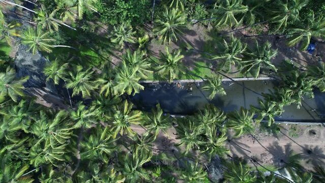 snehatheeram beach chavakkad kerala aerial view
