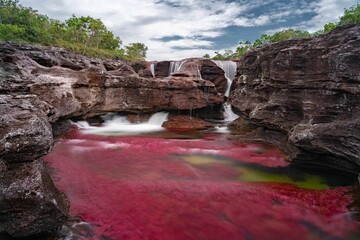 Caño Cristales is a river in Colombia that is located in the Sierra de la Macarena, in the department of Meta. It is considered by many as the “Most Beautiful River in the World”
