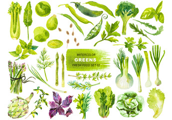 Watercolor painted collection of green vegetables. Hand drawn fresh food design elements isolated on transparent background.