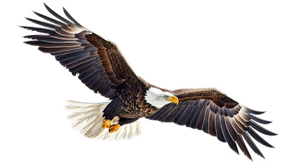 Fototapeta premium An eagle flying on a transparent background