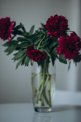A bouquet of burgundy peonies in a vase. 