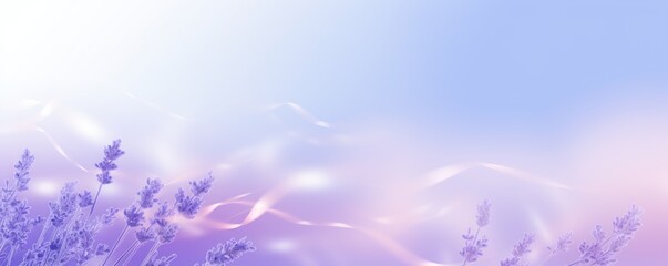 Lavender defocused blurred motion abstract background widescreen with copy space texture for display products blank copyspace for design text 