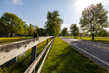 Broomes Island, Maryland USA A field of buttercups and a wooden fence.