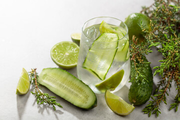 Cocktail Gin-tonic with ice, lime, cucumber, and juniper branches.