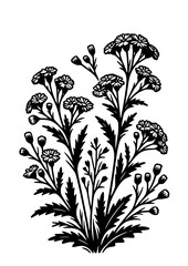 Wildflower Svg, Flower Meadow Svg, Flower Border SVG, Minimalist Flower Bouquet, Wildflower Clipart, Flower Sketch Svg, Wildflower Silhouette, Flower SVG, Cut file for Cricut