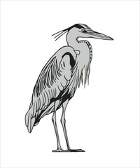 Fototapeta premium Heron Bird Victor Design