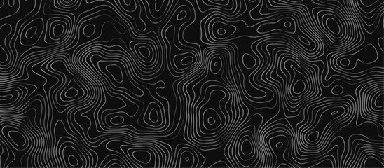 Abstract wave paper curved reliefs background .gradient multicolor wave curve lines banner background design .topographic contours map background .Vector geographic contour map.