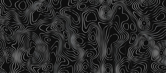 Abstract wave paper curved reliefs background .gradient multicolor wave curve lines banner background design .topographic contours map background .Vector geographic contour map.