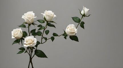 Fototapeta premium Collection of rose flower branches isolated on transparent or white background.generative.ai 
