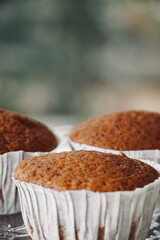 Homemade vegan cupcakes up close. Ketogenic, sugar-free, dairy-free and gluten-free diet. Healthy breakfast.