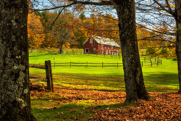 farmhouse in a clearing near the forest on a sunny bright autumn day. USA. Vermont.