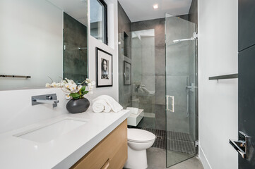 a modern white and gray bathroom features large shower stall, walk in glass door