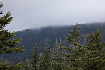 Autumn Mountains with low clouds