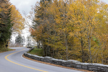 Road through the autumn woods