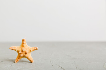 Summer time concept with sea shells or starfish on a table background with copy space for text