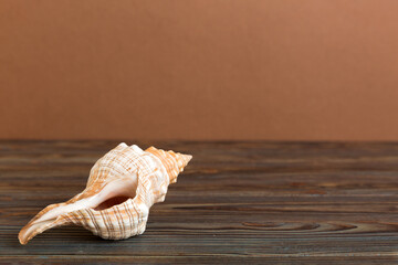 Summer time concept with sea shells or starfish on a table background with copy space for text