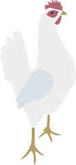Hen leghorn vector icon