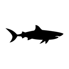 Shark silhouette flat illustration on isolated background