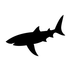 Shark silhouette flat illustration on isolated background