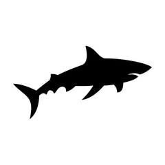 Shark silhouette flat illustration on isolated background