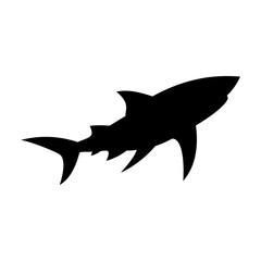 Shark silhouette flat illustration on isolated background