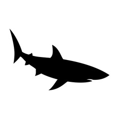Shark silhouette flat illustration on isolated background