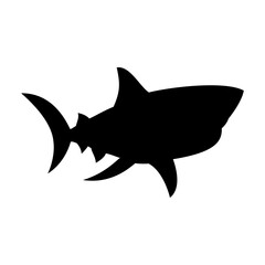 Shark silhouette flat illustration on isolated background