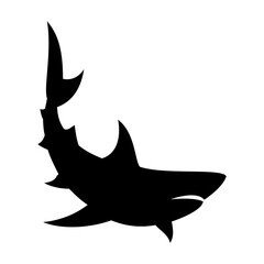 Shark silhouette flat illustration on isolated background
