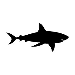 Shark silhouette flat illustration on isolated background