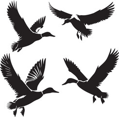 Obraz premium Duck silhouette isolated on white background. Duck logo.