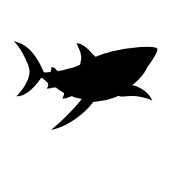 Shark silhouette flat illustration on isolated background