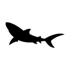 Shark silhouette flat illustration on isolated background