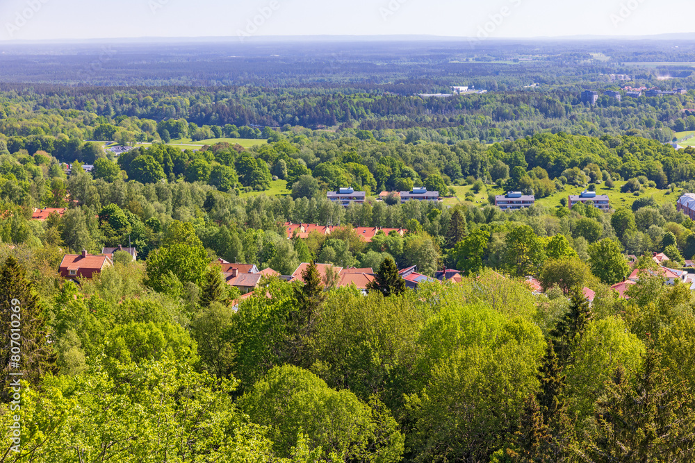 Wall mural residential area from a high angle view above with lush green trees