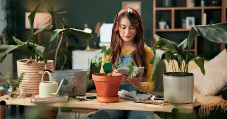 Woman, plant and care in home with tablet, online search and growth with sustainable botany app for eco friendly info. Houseplant, leaves and organic decor and typing, horticulture and happy gardener