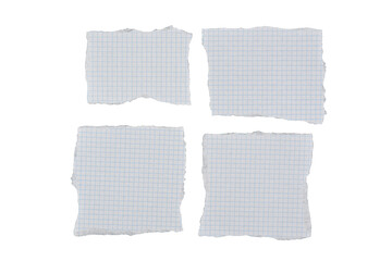 Papel cuadriculado de un cuaderno rasgado  y cortado en trozos de color blanco sobre fondo blanco, recurso gr&aacute;fico