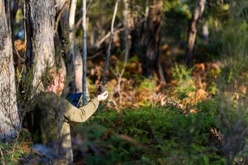 university student conducting research on forest health. farmer collecting soil samples in a test tube in a field. Agronomist checking soil carbon and plant health on a farm in australia