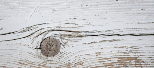 Old Wood texture,Bark texture for the background .