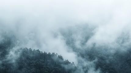  A mountain shrouded in fog, trees dot the foreground, while a handful of clouds scatter above, obscuring the peak