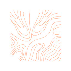 Topography Pattern Line