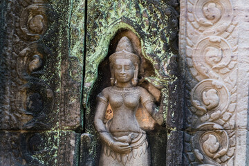 Aspera in East Mebon, Angkor, Cambodia