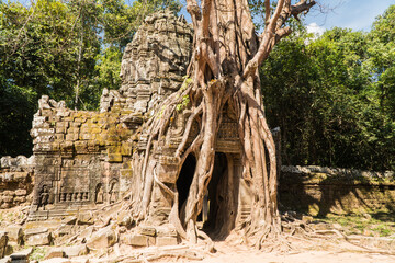 Tree growing over Ta Som, Angkor, Cambodia