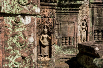 Asperas in Ta Som, Angkor, Cambodia