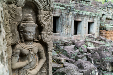 Aspera in Preah Khan, Angkor, Cambodia