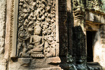 Aspera in Chau Say Tevoda, Angkor, Cambodia