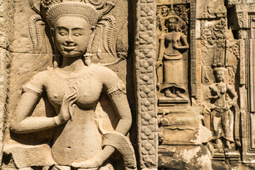Aspera in Chau Say Tevoda, Angkor, Cambodia