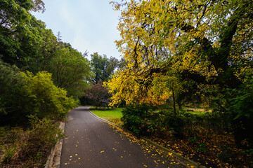 Royal Botanic Gardens in Melbourne Australia