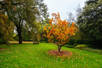 Royal Botanic Gardens in Melbourne Australia