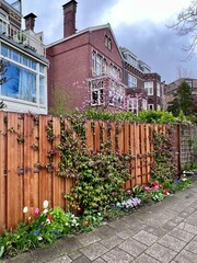 Blossoming Backyard: Pink blossoms add a colorful accent to a quaint Amsterdam backyard, surrounded by dense greenery and a rustic wooden fence.