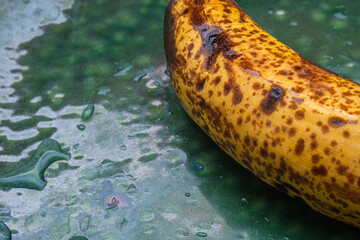 Detail of ripe banana on a wet green glass background. Lady Finger banana with freckle. Macro of...