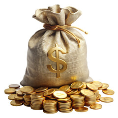 World Habitat Day,close up picture of a pile of coins and a sag of coin